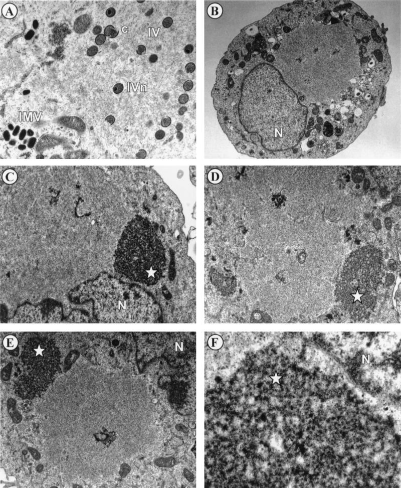 FIG. 7