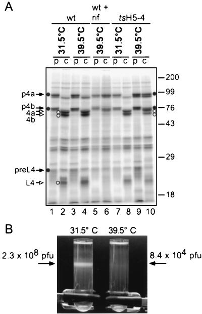 FIG. 6