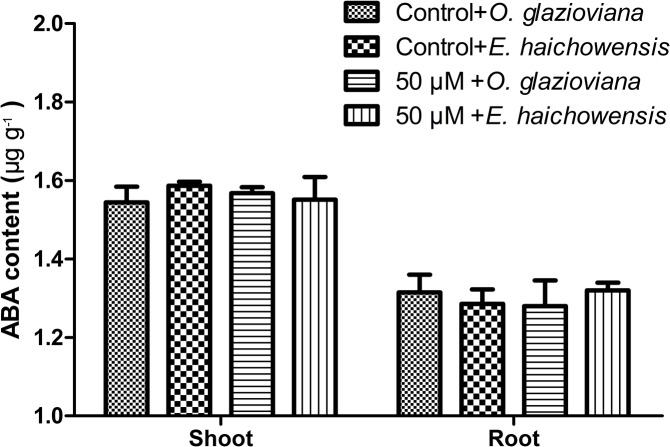 Fig 5