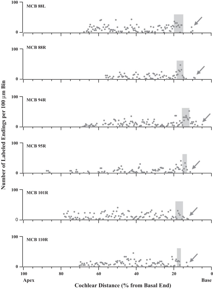 Fig. 7.