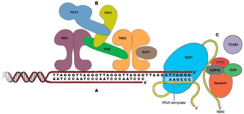 Figure 1.