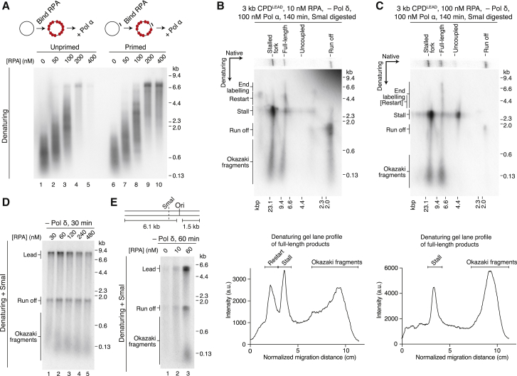 Figure 6