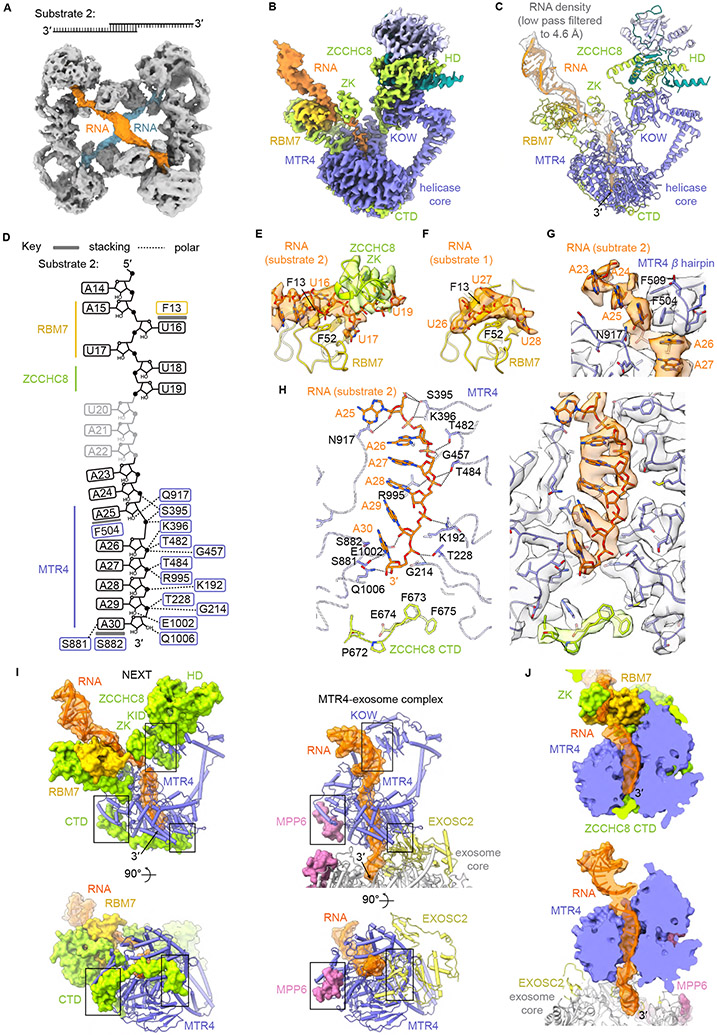 Figure 4.