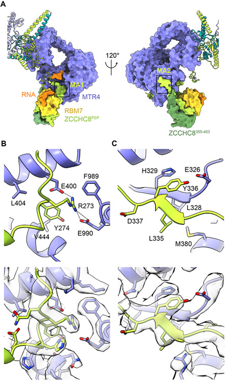 Figure 3.