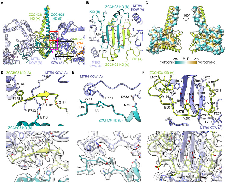 Figure 2.