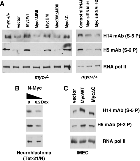 FIG. 5.