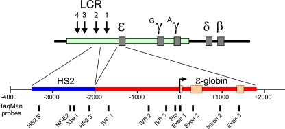 FIG. 1.