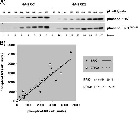 FIG. 9.