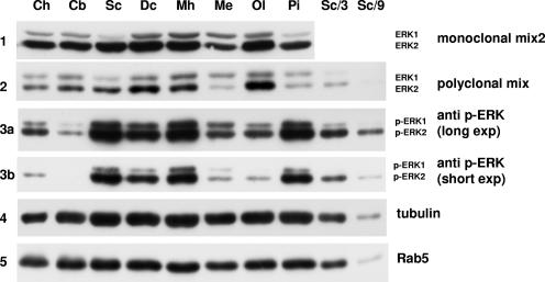 FIG. 10.