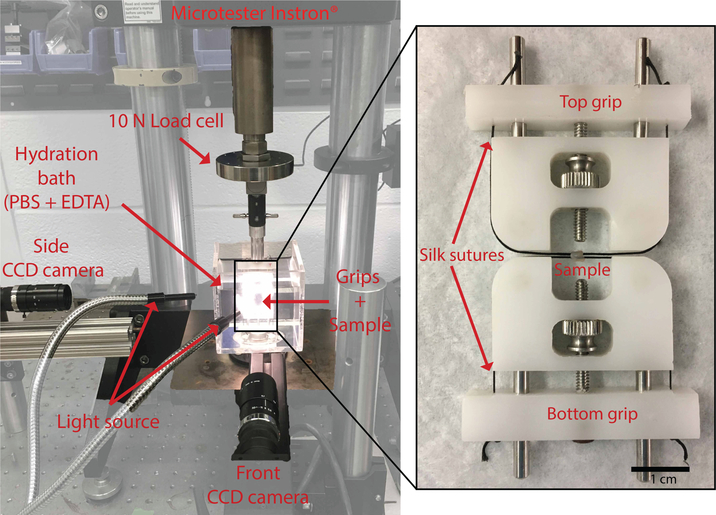 Figure 1: