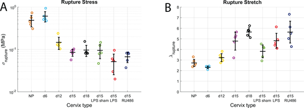 Figure 10: