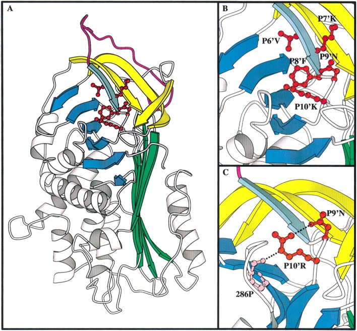 Fig. 1.