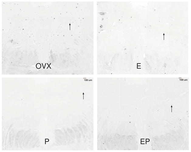 Figure 19