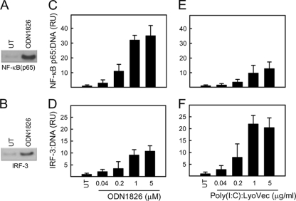 FIG. 4.