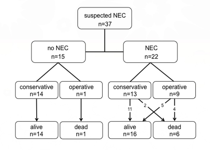 Fig 5