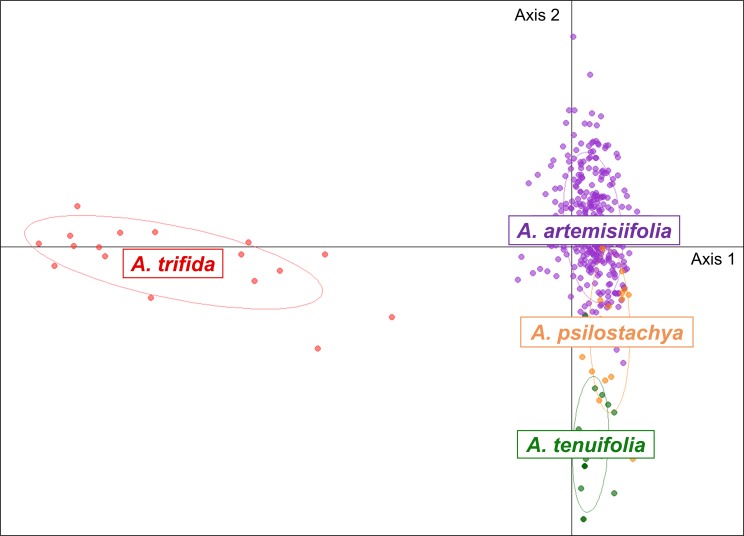 Fig 6