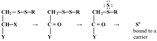 graphic file with name molecules-19-12789-i002.jpg