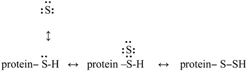 graphic file with name molecules-19-12789-i006.jpg