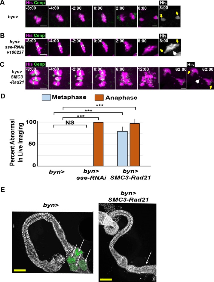 FIGURE 4: