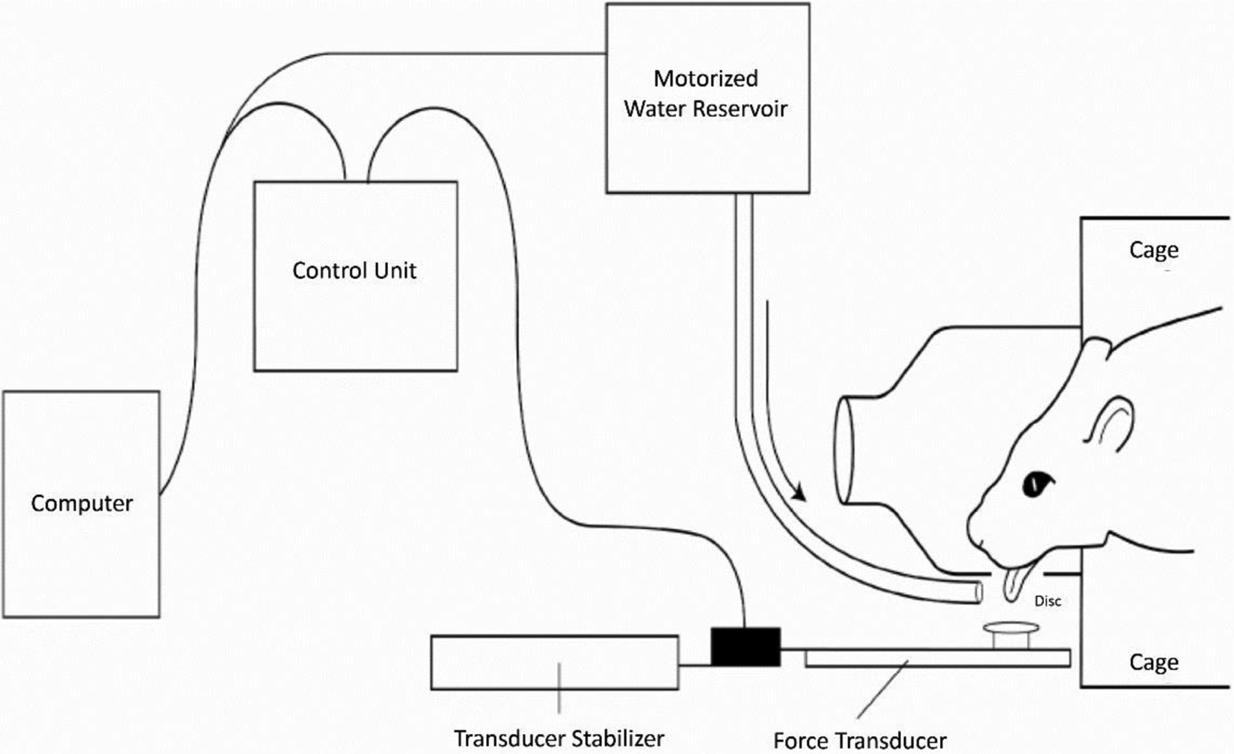 Figure 3.