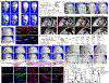 Fig. 4 |