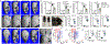 Fig. 5 |
