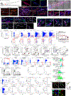 Extended Data Fig. 5 |