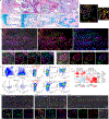 Extended Data Fig. 10 |