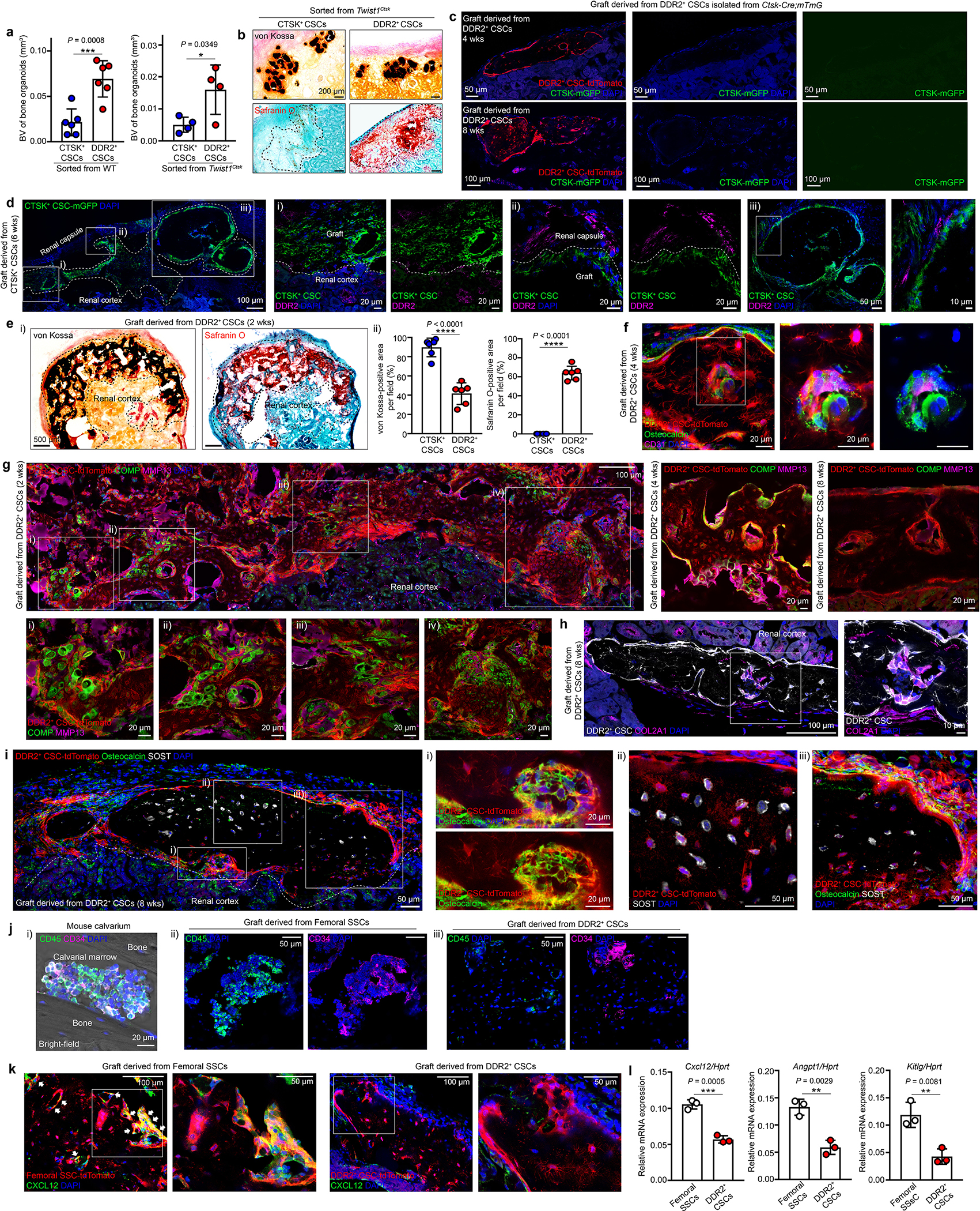 Extended Data Fig. 6 |