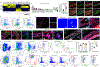 Extended Data Fig. 3 |