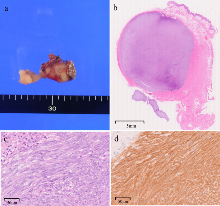 Fig. 3