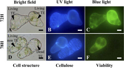 Figure 3.