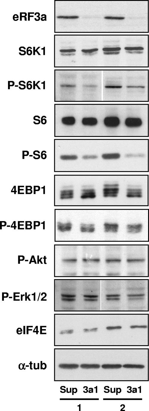 FIG. 9.