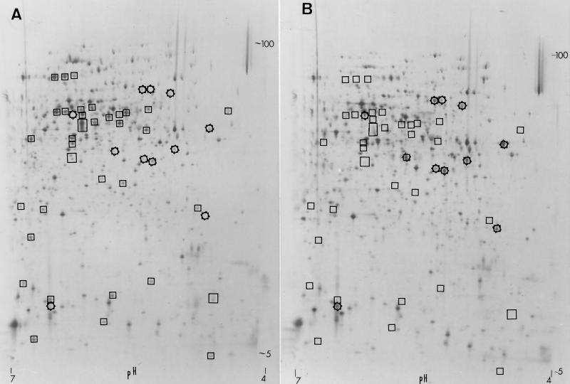 FIG. 7