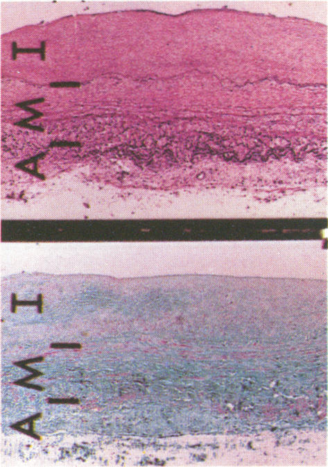 Fig. C4.