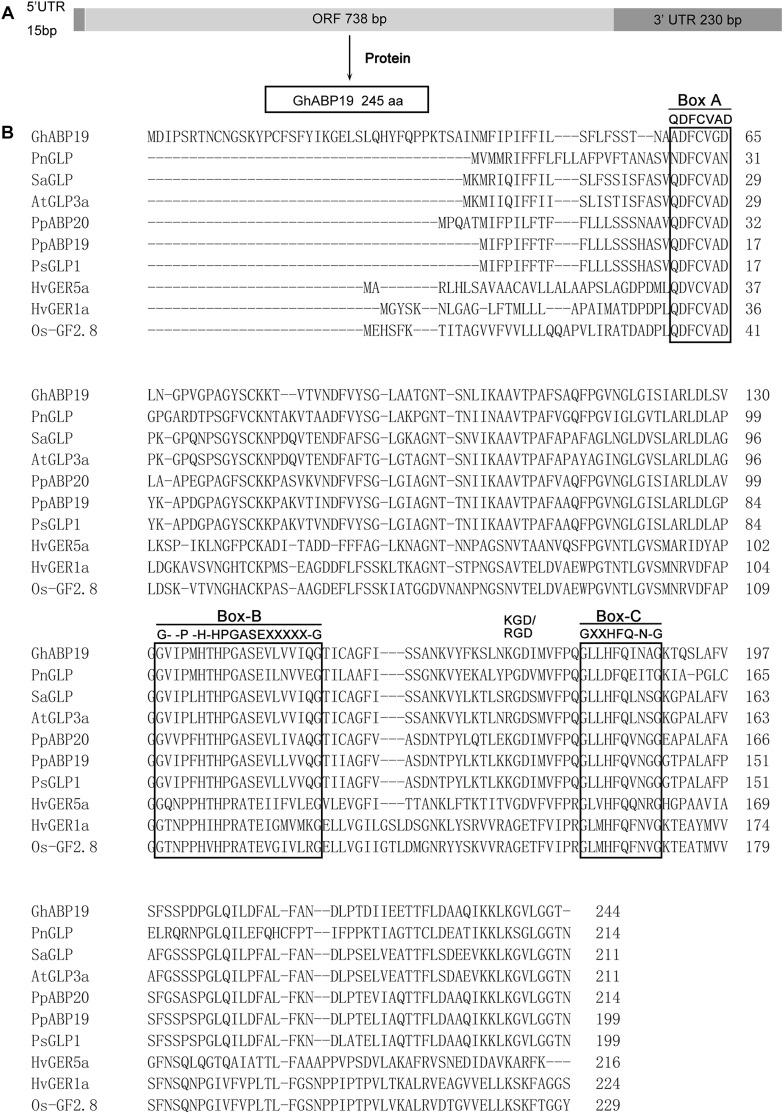 FIGURE 1