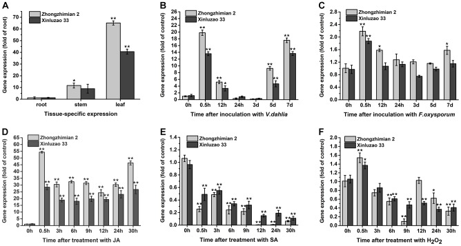 FIGURE 3