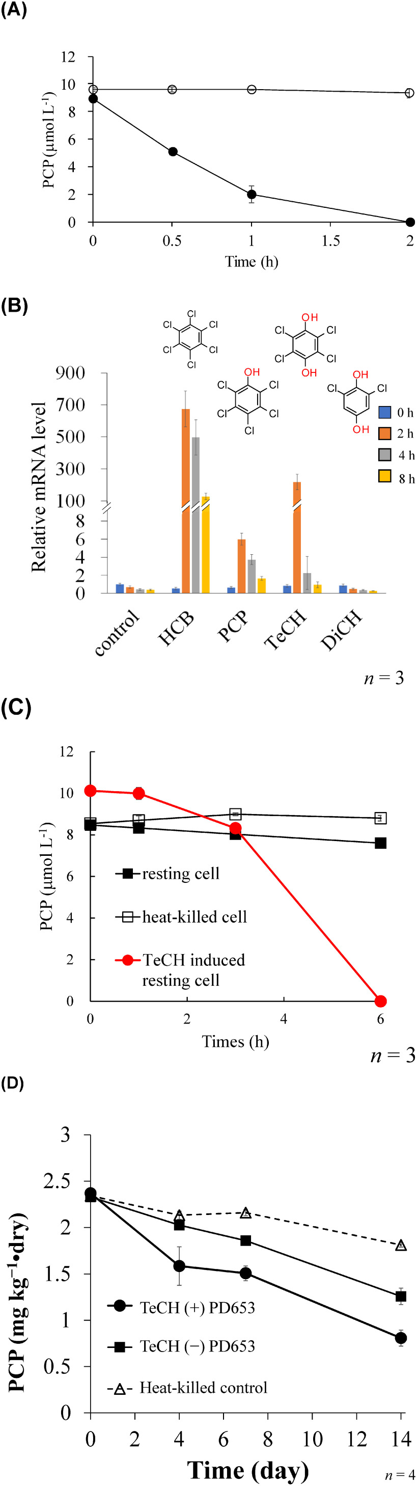 Fig. 4. (Reprinted from Ref. 44.) A) Time courses for PCP degradation (●) by E. coli BL21 (DE3) carrying hcbB2-hcbB3 and PCP concentrations (○) in the vector control cultures. Each concentration shown is the mean (n=3) with the standard deviation. B) Expression of the hcbB3 gene in PD653 by hexachlorobenzene (HCB) and its degradation intermediates, pentachlorophenol (PCP), 2,3,5,6-tetrachloro-p-hydroquinone (TeCH), and 2,6-dichloro-p-hydroquinone (DiCH). Gene expression was calculated relative to the rpoB gene using the cycle threshold (2−ΔΔCt) method. C) Induction of hcbB3 gene in PD653 resting cells by 2,3,5,6-tetrachloro-p-hydroquinone (TeCH) resulted in an advanced PCP-degradation activity. D) Dissipation of PCP by PD653 in artificially contaminated sand.