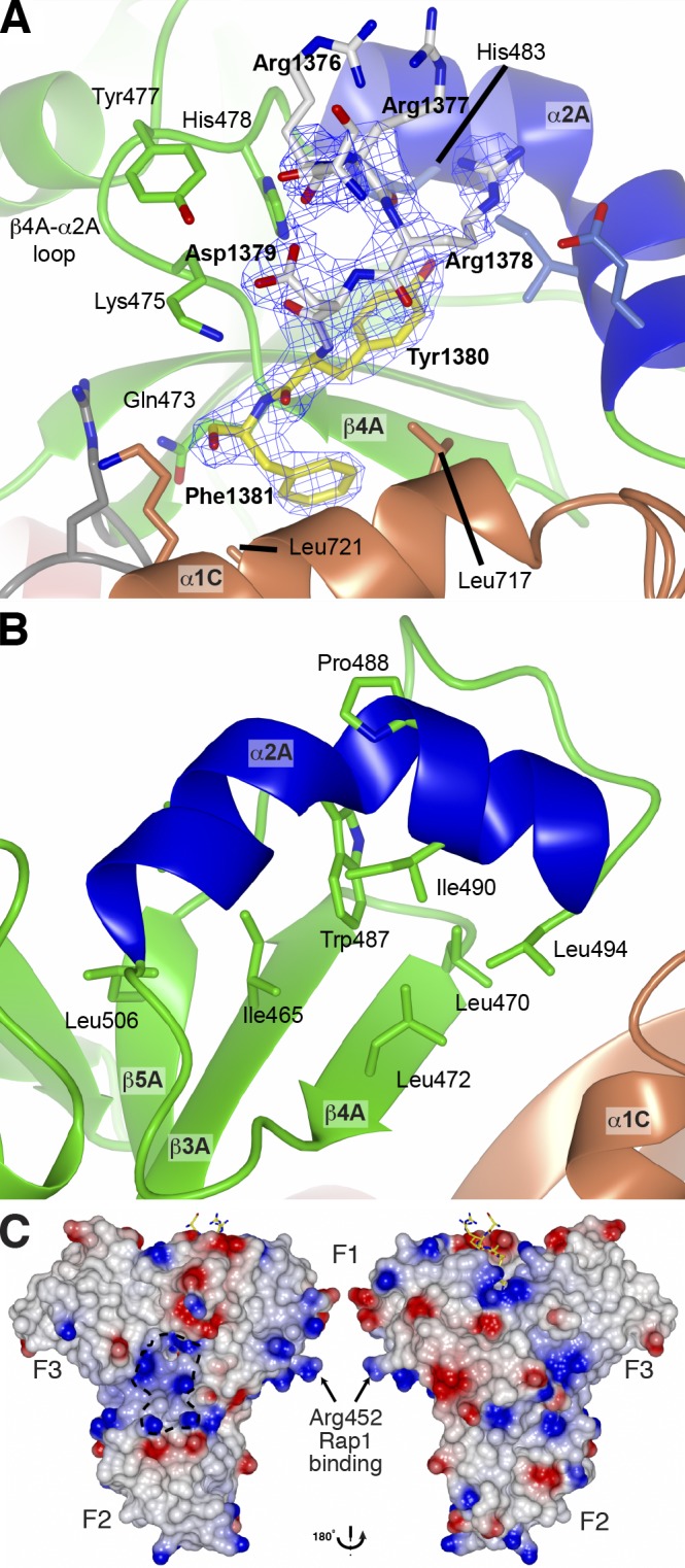 Figure 3.