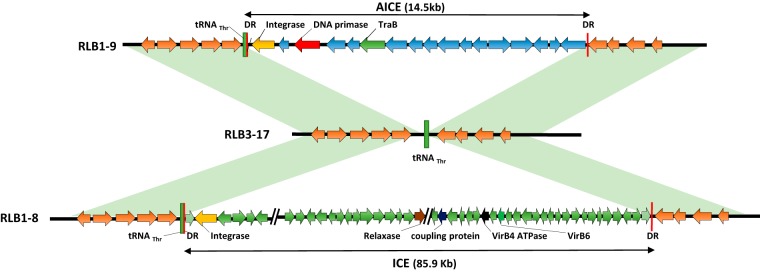 FIG 3