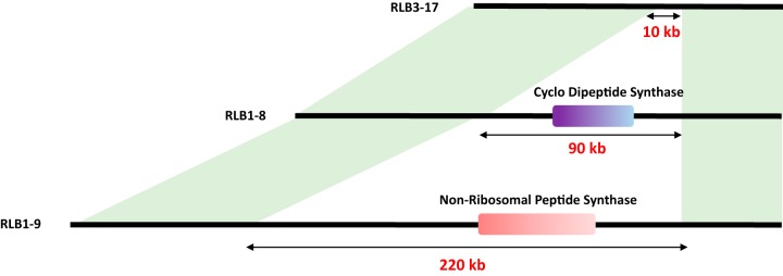 FIG 4