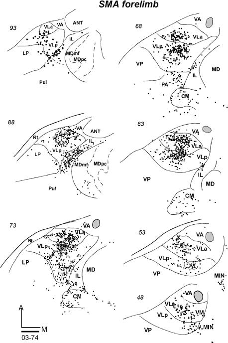 Fig 18