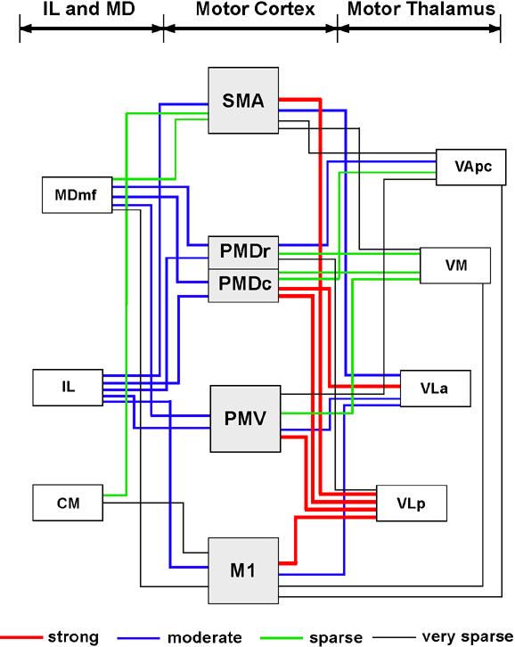 Fig 20