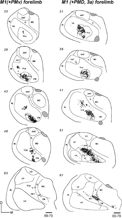 Fig 13