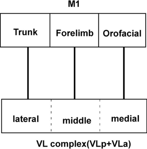 Fig 21