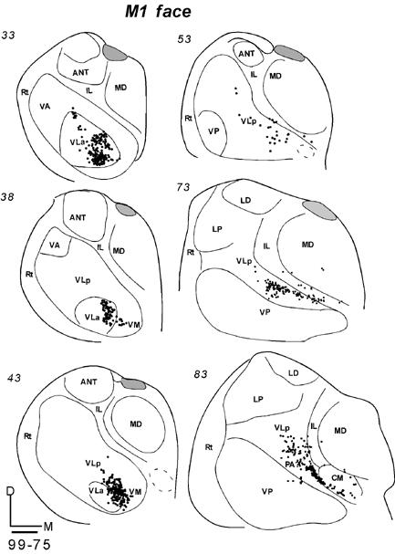 Fig 14