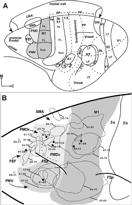 Fig 9