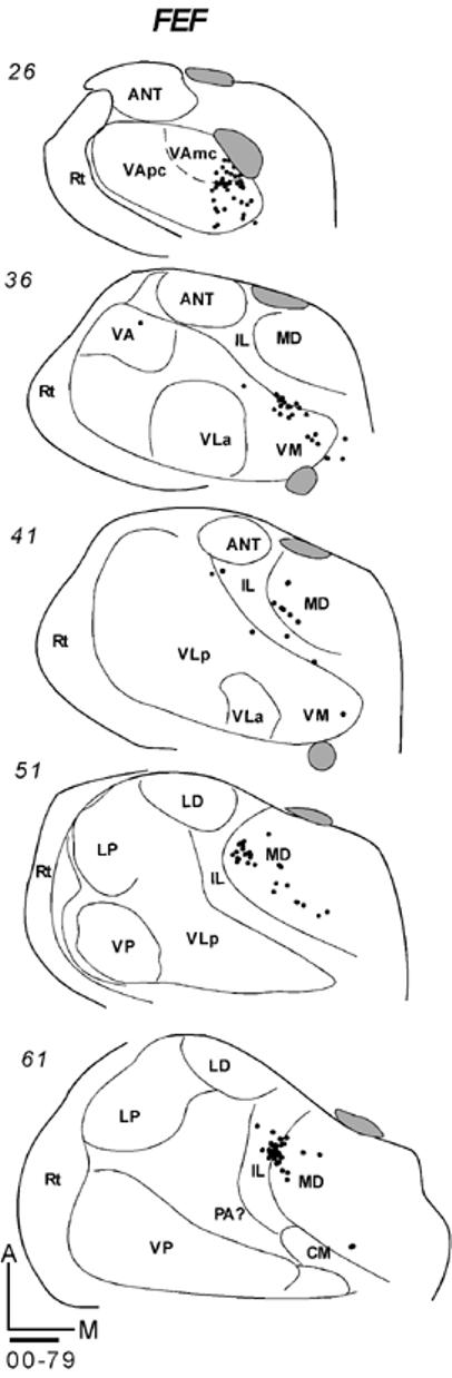 Fig 19