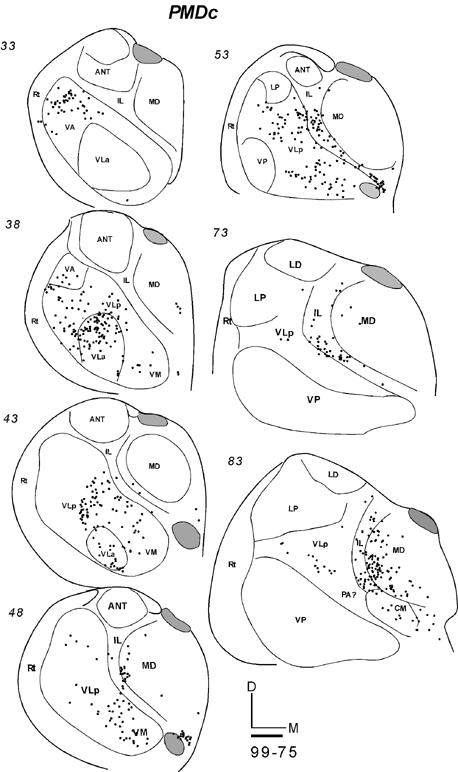 Fig 15