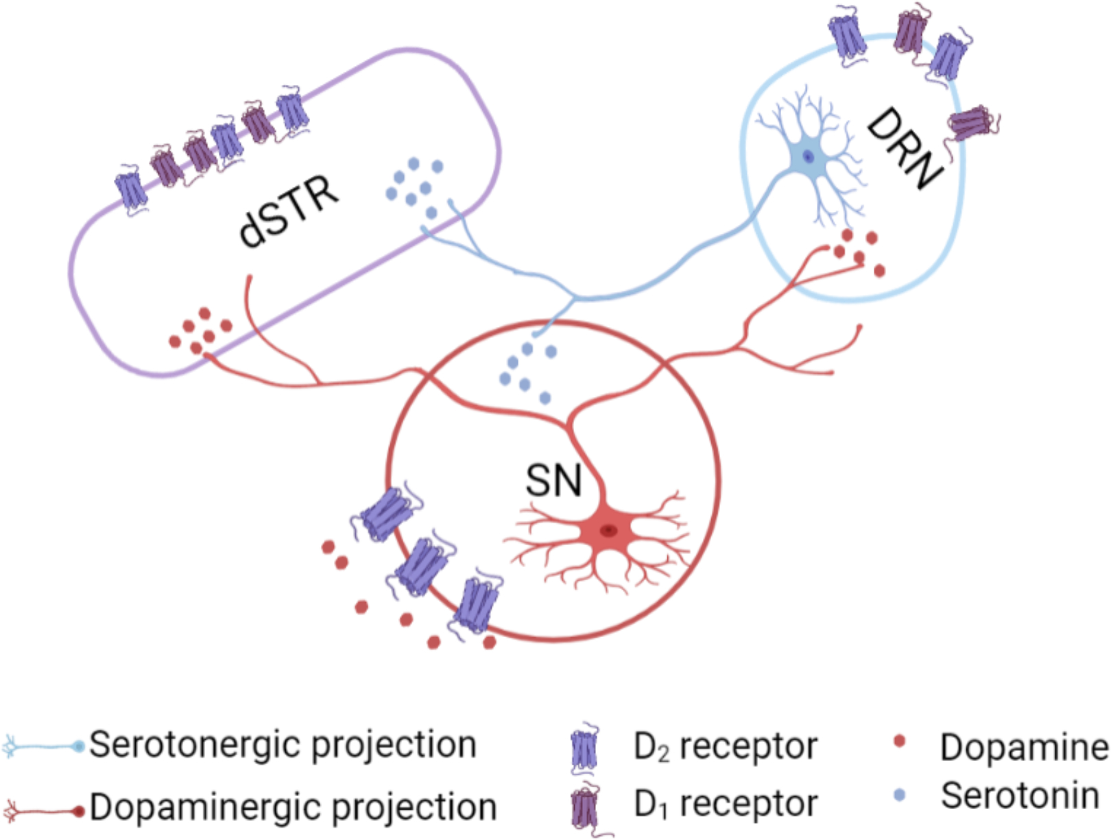 Figure 10: